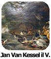 Jan Van Kessel il V